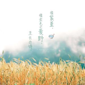 亚洲男同视频网站
