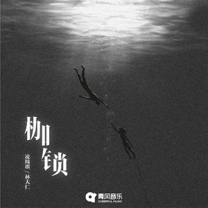 亚洲男同视频网站
