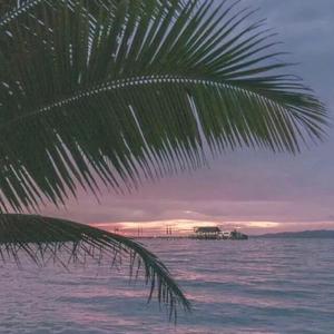 亚洲男同视频网站
