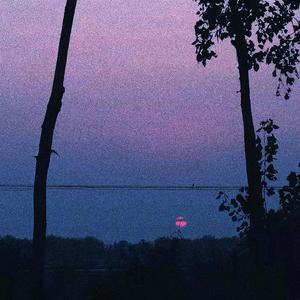 亚洲男同视频网站
