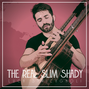 亚洲男同视频网站
